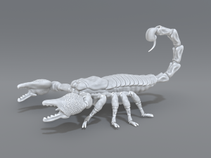 scorpion 3D printmodel