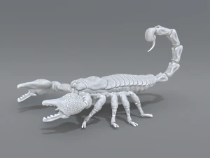 scorpion 3D Print Model