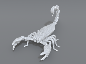 scorpion 3D printmodel