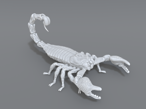 scorpion 3D printmodel