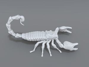 scorpion 3D printmodel