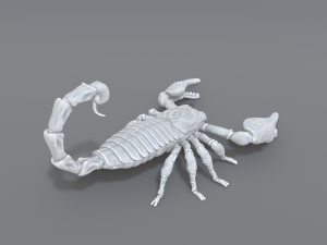 scorpion 3D printmodel