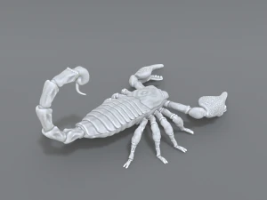 scorpion 3D Print Model