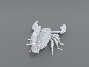 scorpion 3D printmodel
