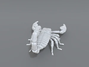 scorpion 3D Print Model