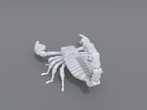 scorpion 3D printmodel