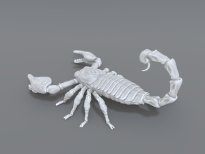 scorpion 3D printmodel