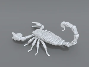 scorpion 3D Print Model