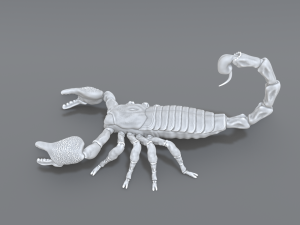 scorpion 3D printmodel