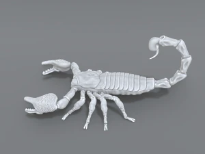scorpion 3D Print Model