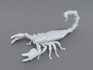 scorpion 3D Print Model