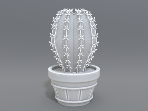cactus 3D प्रिंट मॉडल