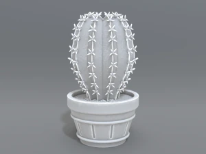 cactus 3D printmodel