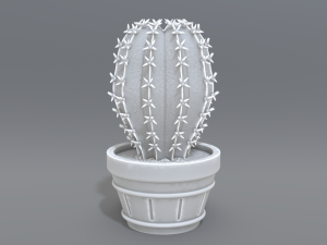 cactus 3D प्रिंट मॉडल