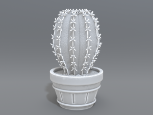 cactus 3D प्रिंट मॉडल