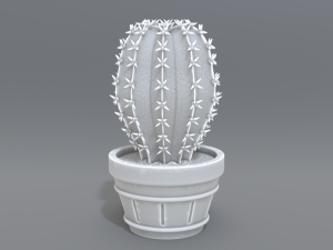 cactus 3D प्रिंट मॉडल