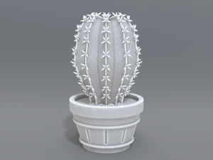 cactus 3D printmodel