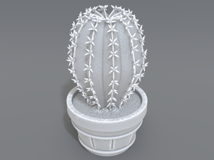 cactus 3D प्रिंट मॉडल