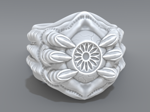 ring eye Modello di stampa 3D