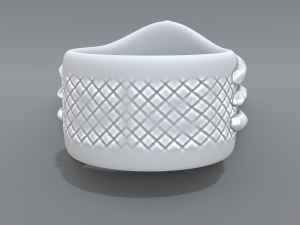 ring eye Modello di stampa 3D