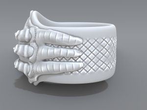 ring eye Modello di stampa 3D