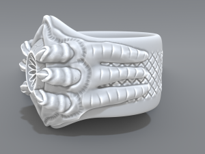 ring eye Modello di stampa 3D
