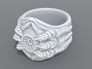 ring eye Modello di stampa 3D