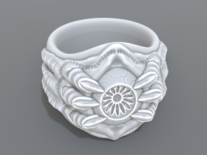 ring eye Modello di stampa 3D