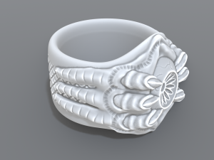 ring eye Modello di stampa 3D