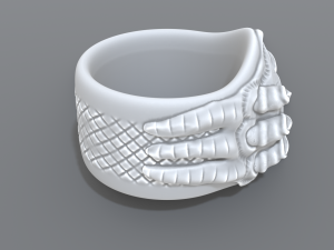 ring eye Modello di stampa 3D