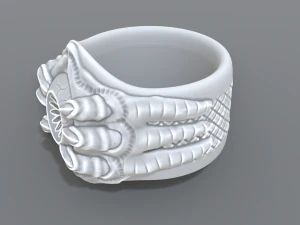 ring eye 3D Print Model