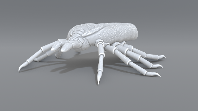 tick Modello di stampa 3D .c4d .max .obj .3ds .fbx .stl .blend