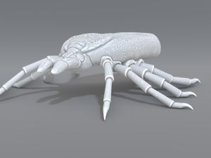 tick 3D-printmodel