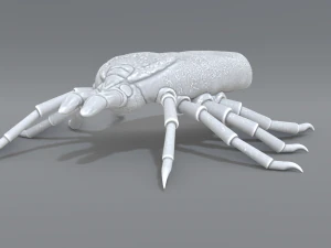 garrapata Modelo de impresión 3D