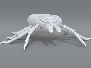 tick Modello di stampa 3D