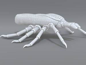 tick Modello di stampa 3D