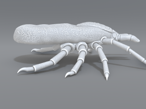 tick Modello di stampa 3D