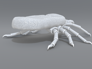 tick Modello di stampa 3D