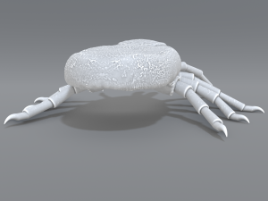 tick Modello di stampa 3D