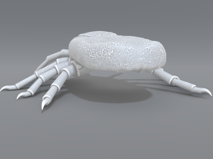 tick Modello di stampa 3D