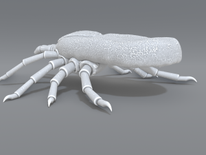 tick Modello di stampa 3D