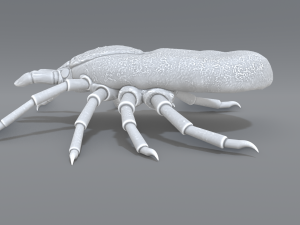 tick Modello di stampa 3D