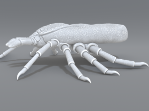tick Modello di stampa 3D
