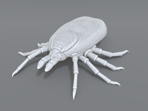 tick Modello di stampa 3D