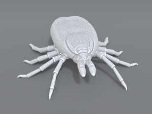 tick Modello di stampa 3D