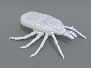 tick Modello di stampa 3D