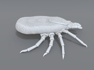 tick Modello di stampa 3D