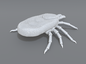 tick Modello di stampa 3D