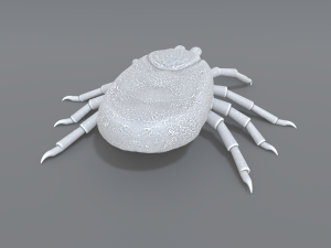 tick Modello di stampa 3D