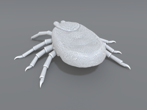 tick Modello di stampa 3D